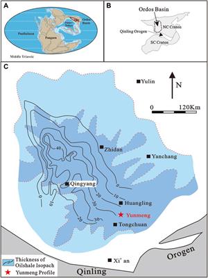 Vegetation changes and climate shift during the latest Ladinian to the early Carnian: Palynological evidence from the Yanchang Formation, Ordos Basin, China